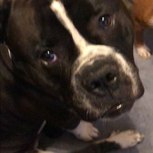 Meet your Posher, Ashli